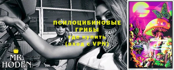 гашик Покровск