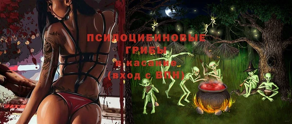 альфа пвп Алексеевка