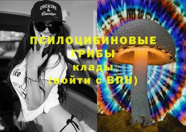 PSILOCYBIN Алексин